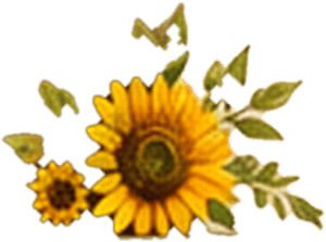 Sunflower Left